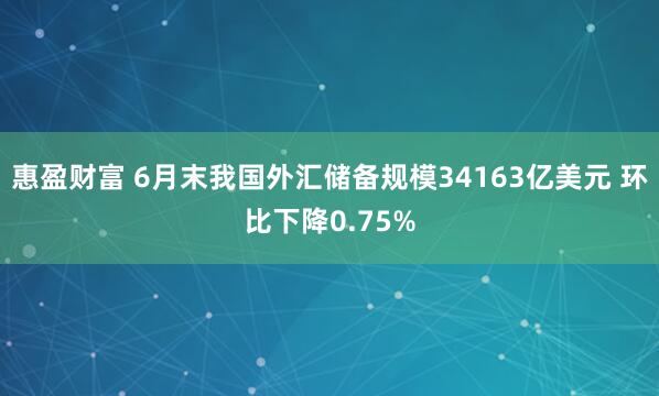 惠盈财富 6月末我国外汇储备规模34163亿美元 环比下降0.75%