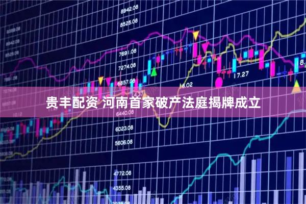 贵丰配资 河南首家破产法庭揭牌成立